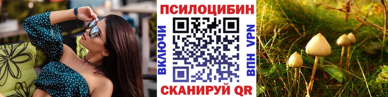 Псилоцибиновые грибы мухоморы  Купить закладки  Мичуринск 